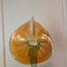Signed Rick Strini Hand-Blown Teal Amber Iridescent Jack-In-The-Pulpit Vase