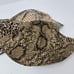 URBAN OUTFITTERS UO-76 COTTON BUCKET HAT LOT OF 3 QUILTED CHEETAH SNAKE WOMEN OS