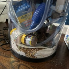 Betta Fish tank