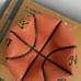Evolution Official Game Basketballs 29.5’ Size 7 NBA New NWT Fast Ship Mens USA