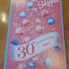 30th Anniversary Mattel Porcelain Skipper