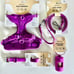 Wild One Orchid Dog Harness Leash Collar Bundle New