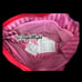 VICTORIA'S SECRET Valentine’s Day Hearts Wristlet and makeup bag