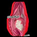 VICTORIA'S SECRET Valentine’s Day Hearts Wristlet and makeup bag