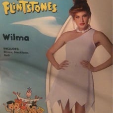 Wilma Adult Costume-Size Small-Brand New