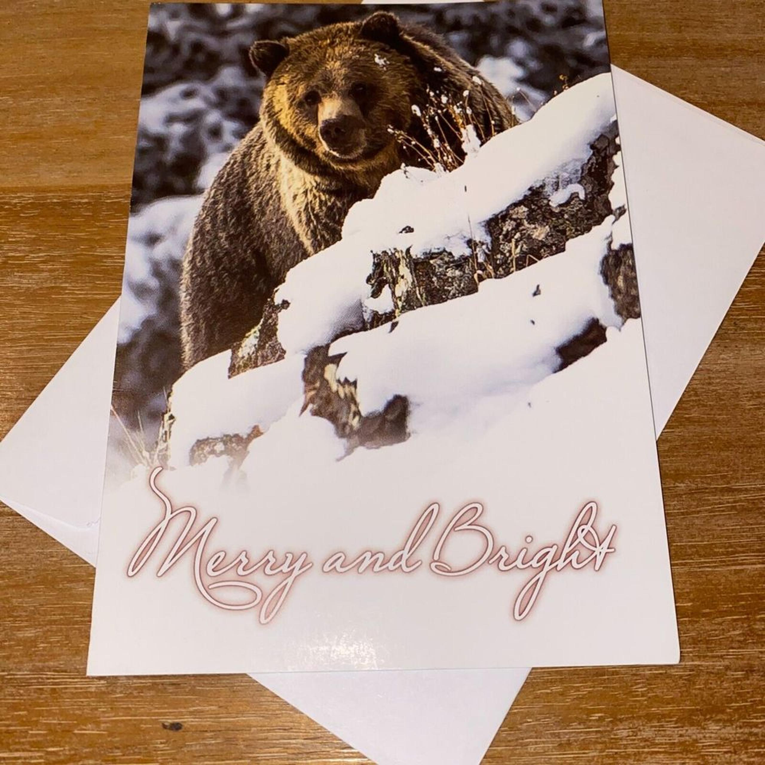 Defenders Wildlife Grizzly Bear Winter Merry & Bright Christmas Greeting Card