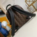 Louis Vuitton handbags