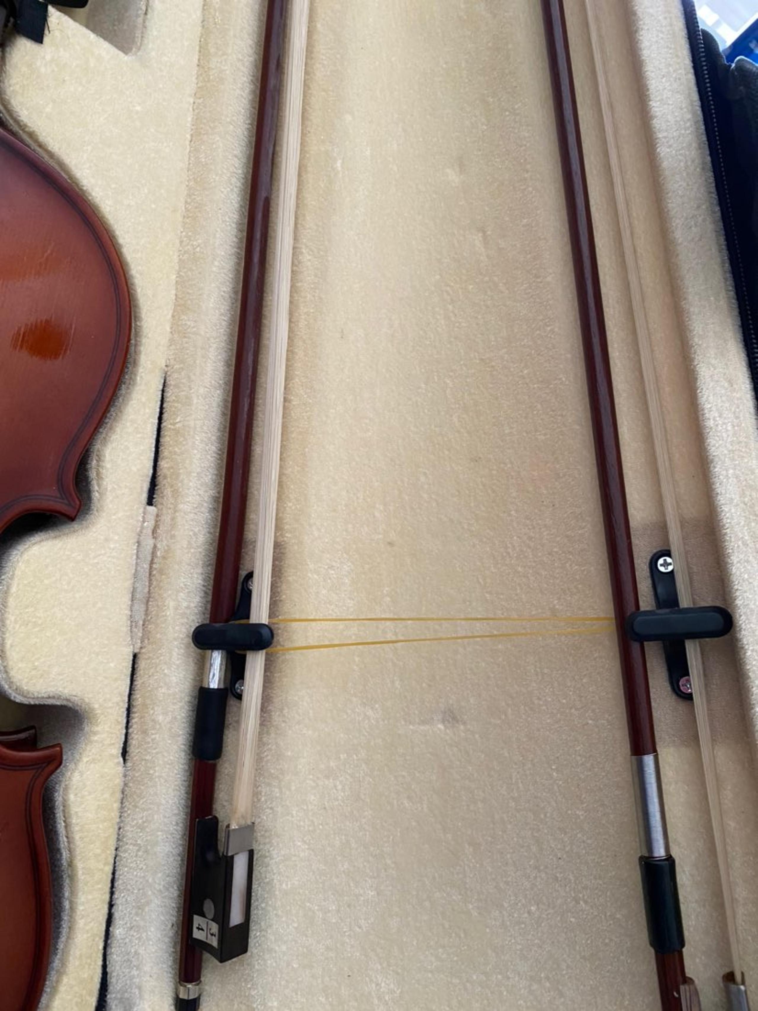 violin