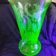 Cambridge Glass, 12 Large Daisy Etched Vaseline Trumpet Vase.