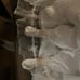 Danbury Mint Christening Doll