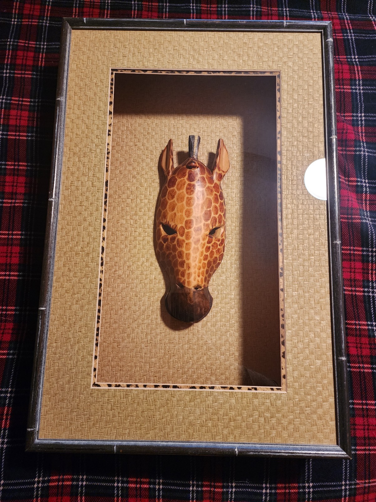 Giraffe Mask Shadow Box!!
