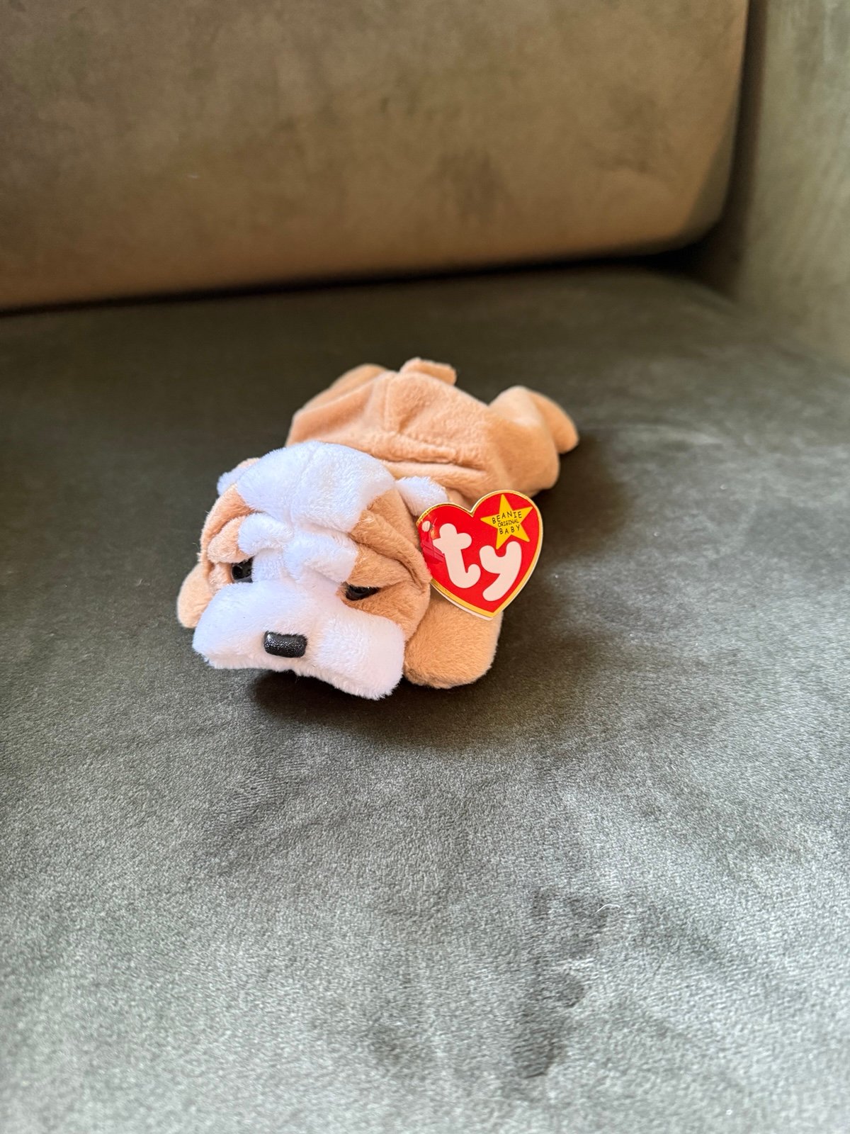 Ty Beanie Babies Wrinkles Bulldog Rare Tag Errors