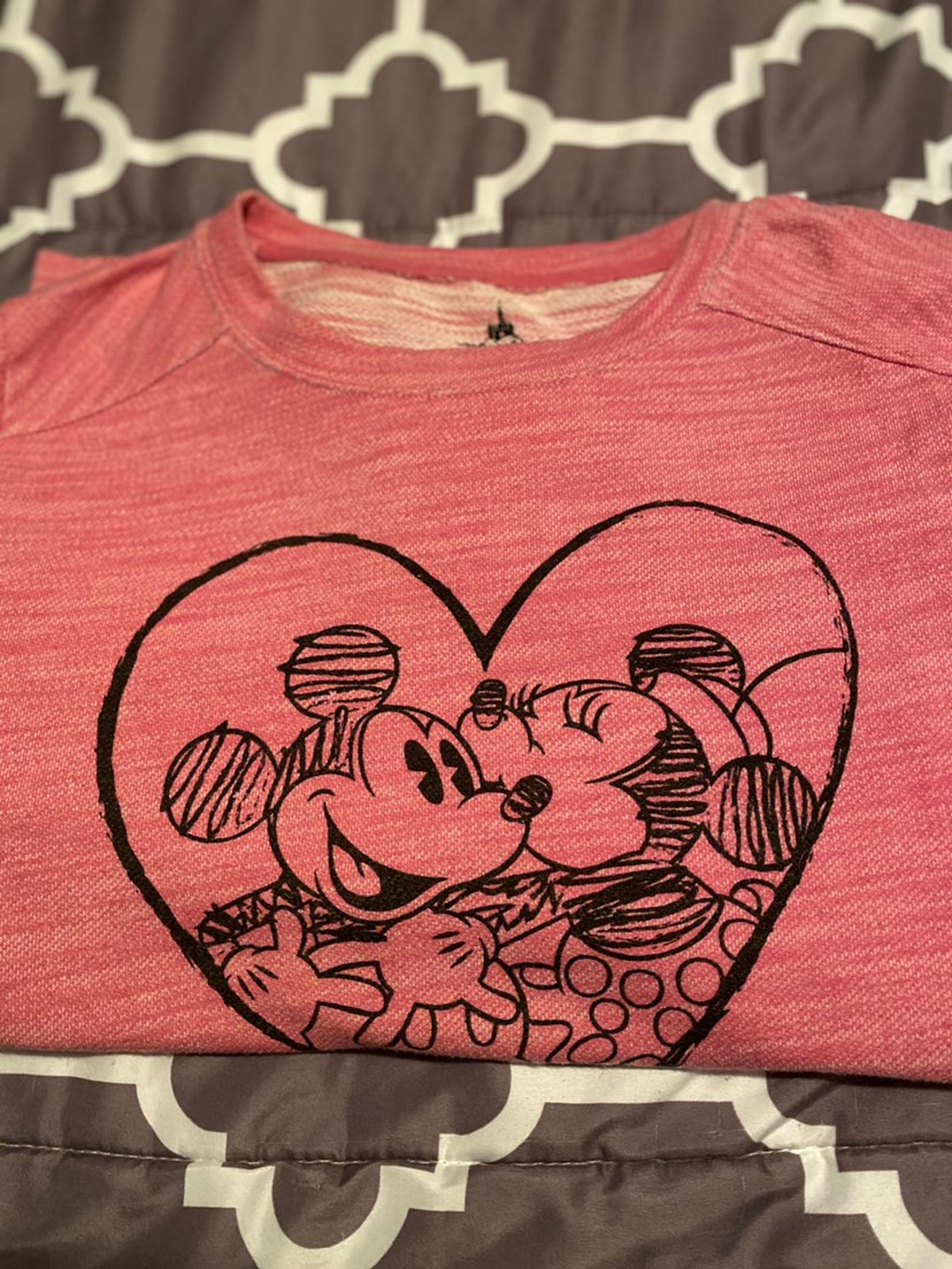 Disney parks pull over shirt