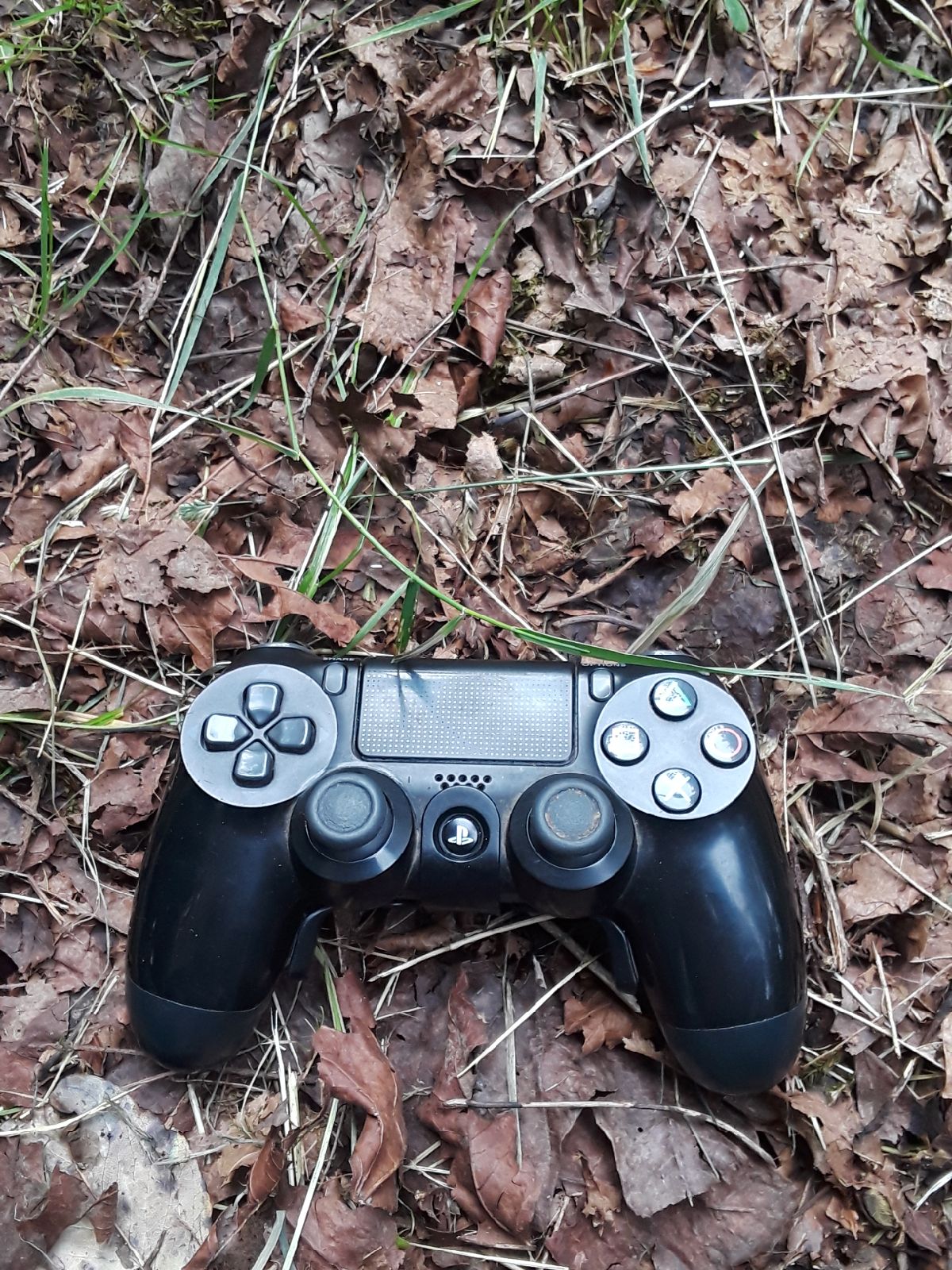 PS4 Controller