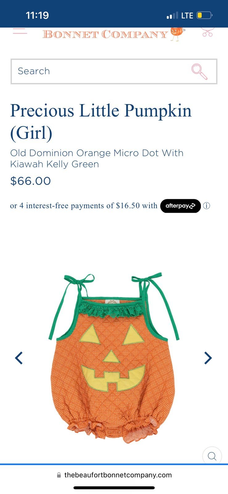The Beaufort bonnet company pumpkin costume