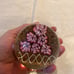 Vintage Set of 2 Paperweights Floral Designs