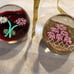 Vintage Set of 2 Paperweights Floral Designs