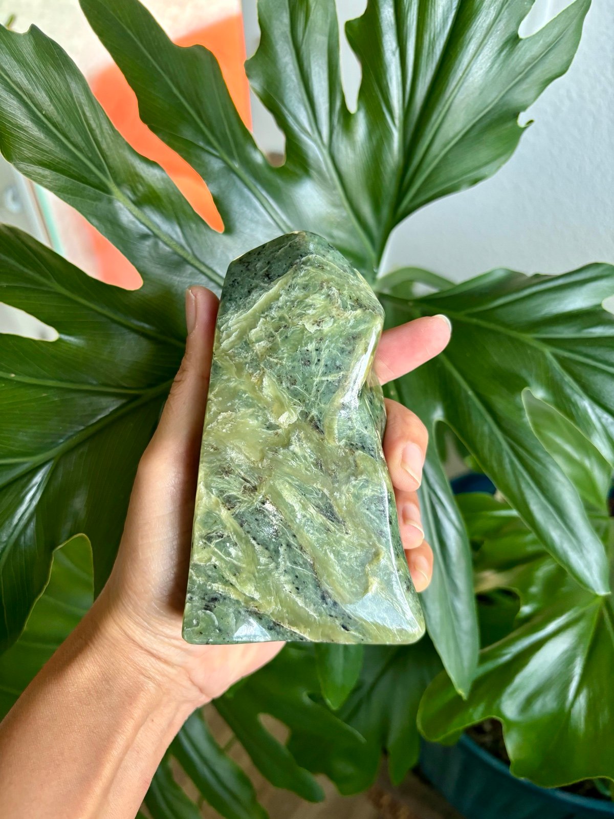 Nephrite Jade Freeform