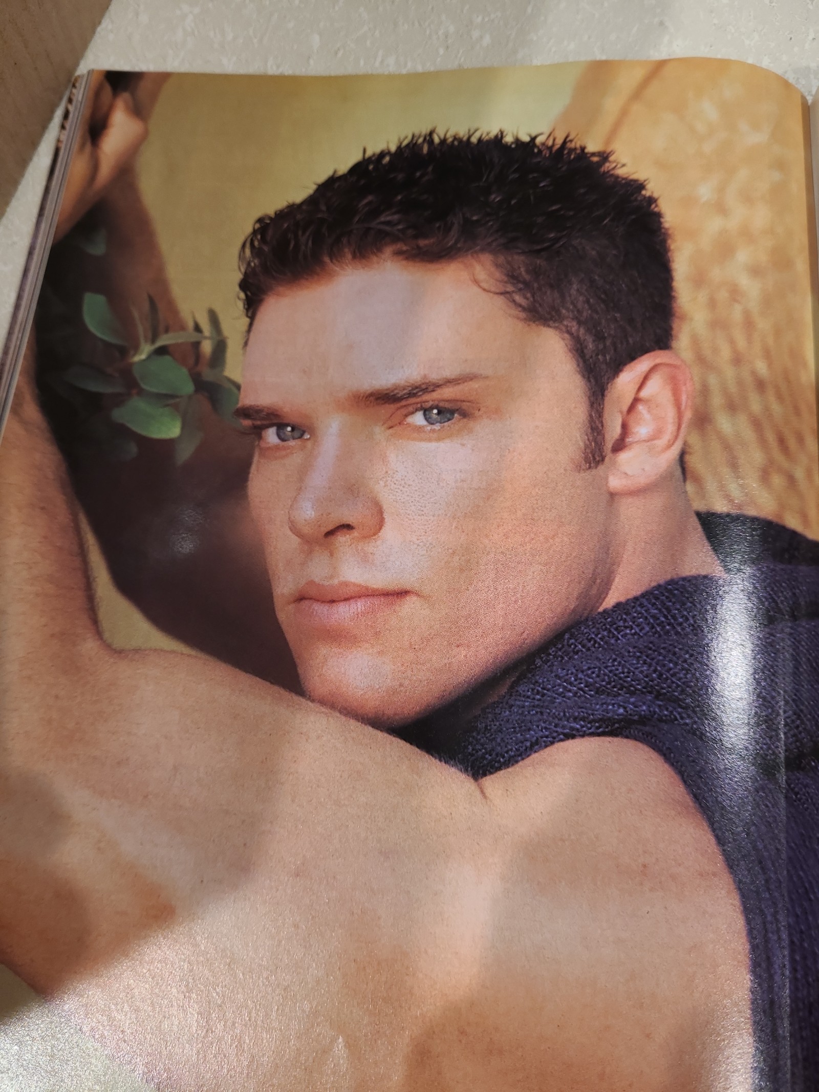 playgirl magazine - detail