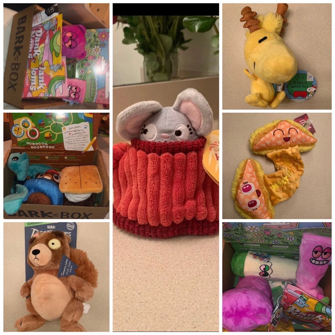 10 barkbox toys/2 bags of treats/chew