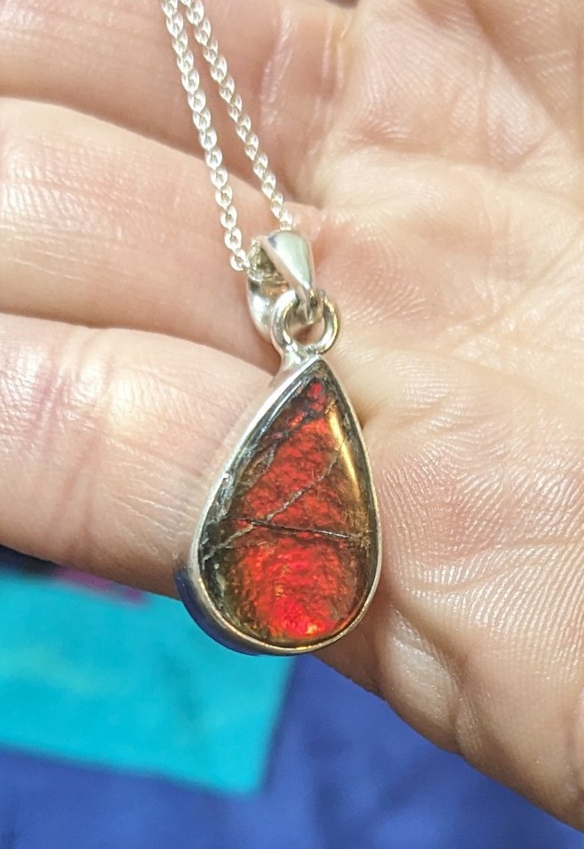 NWOT RARE Ammolite Fossil Gemstone 925 Sterling Silver Necklace Pendant