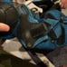 Roller blades and pads