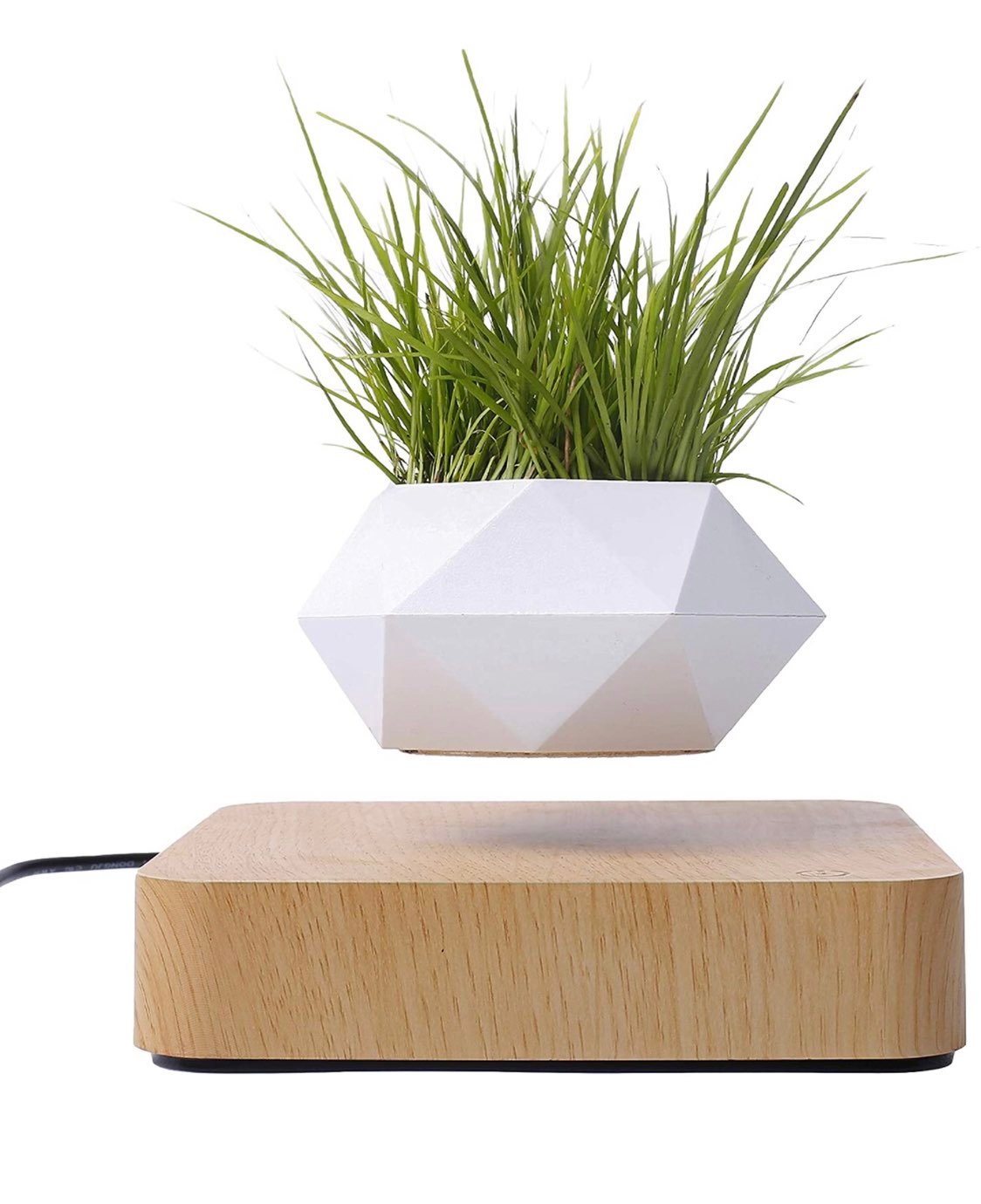 Levitating Rotating Planter Pot - Air Pl