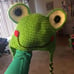 Froggy hat