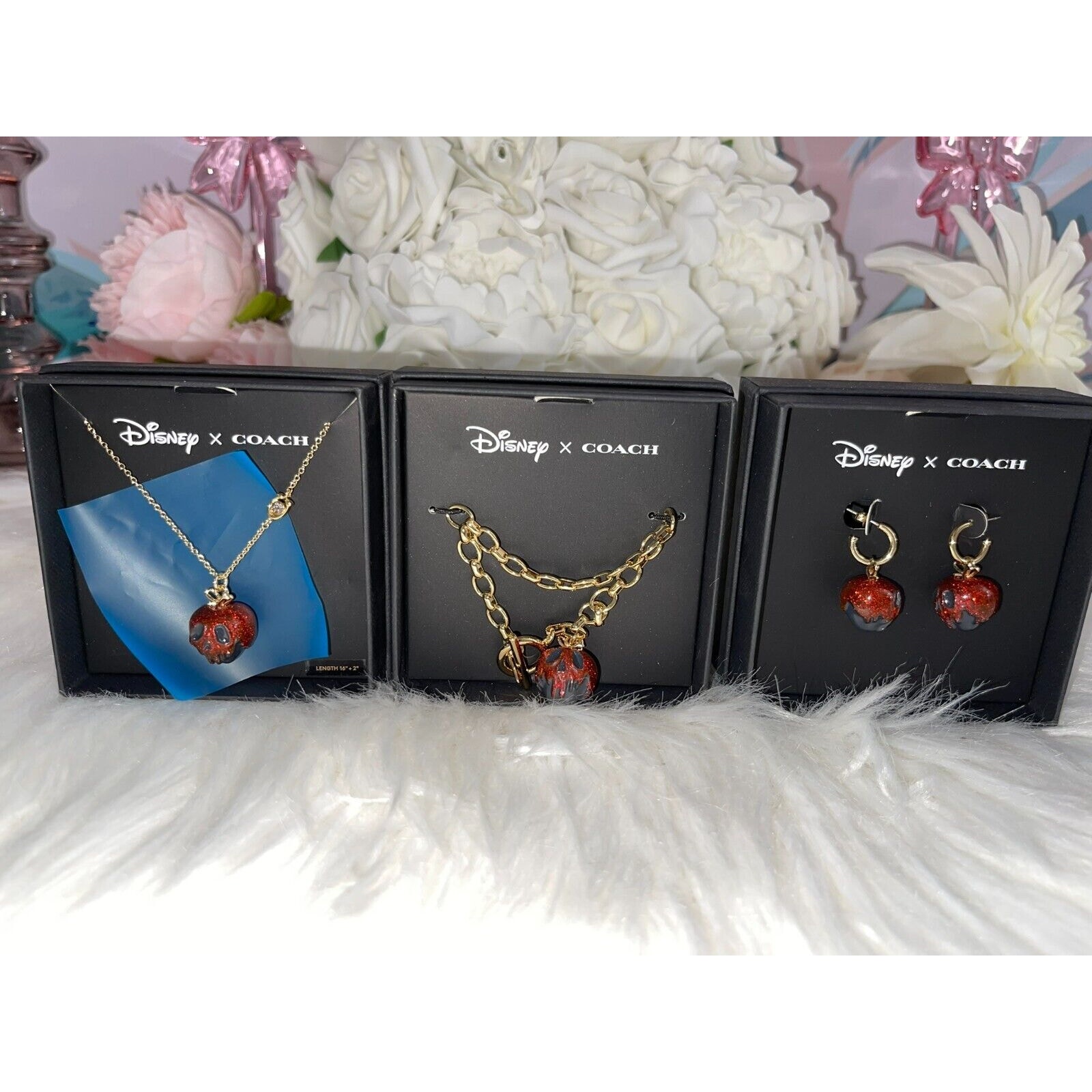 Coach X Disney Villains Snow White Poison Apple Set Red Limited