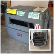 FAA approved dog carrier