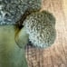 Jellycat Amuseables Broccoli NEW! Gift Fast Shipping