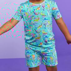 3T-4T Dolphins Basic Short & Short Sleeve Posh Peanut Outfit