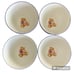 Retroneu “Land That I Love” 16 Piece Dinnerware Set