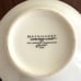 Retroneu “Land That I Love” 16 Piece Dinnerware Set