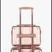 Calpak Vanity Case