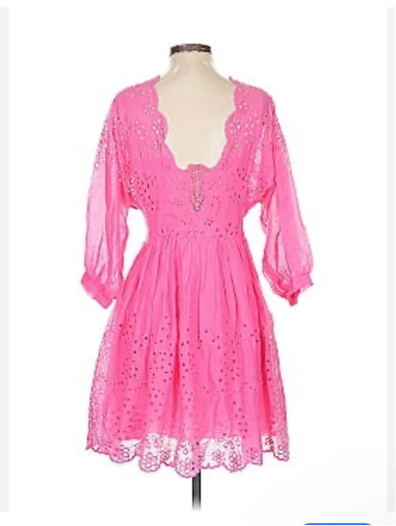 Women's Free People Bubblegum Pink Lottie Eyelet Mini Dress size M