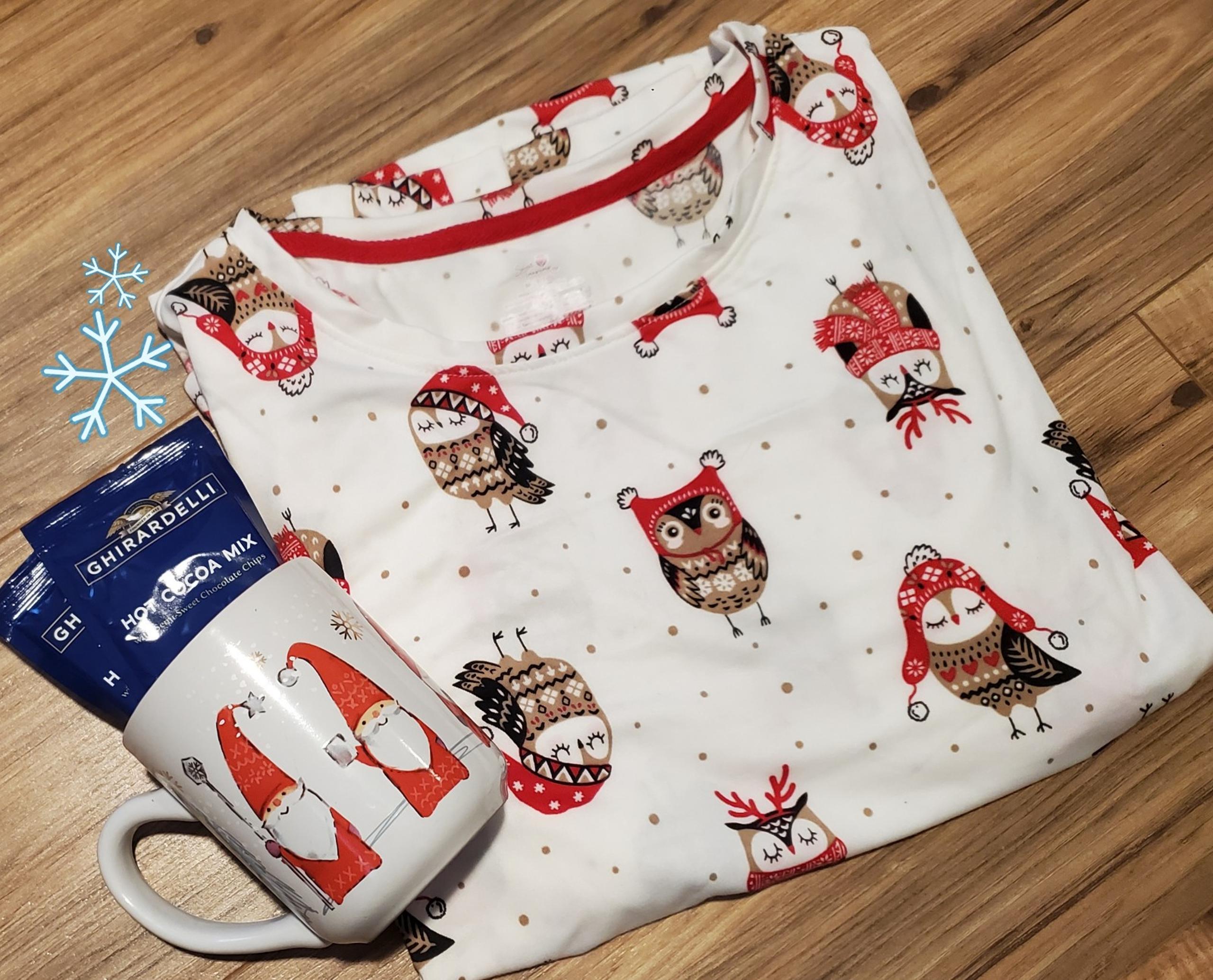 SECRET TREASURES woman's sleep shirt with cute Christmas owls sz.M