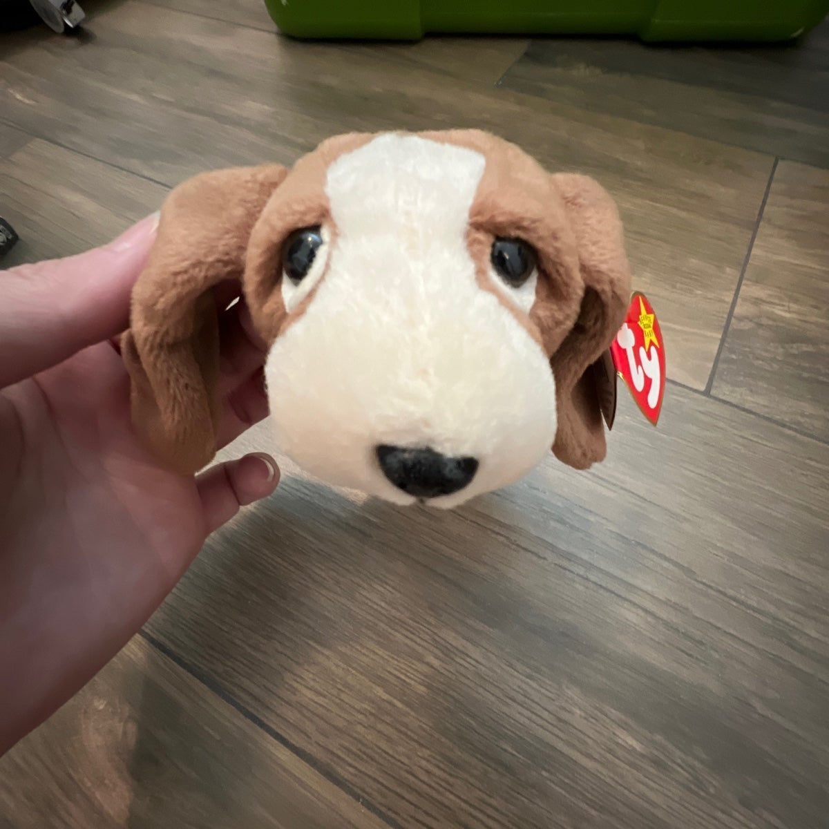 Beanie 1997 tracker dog