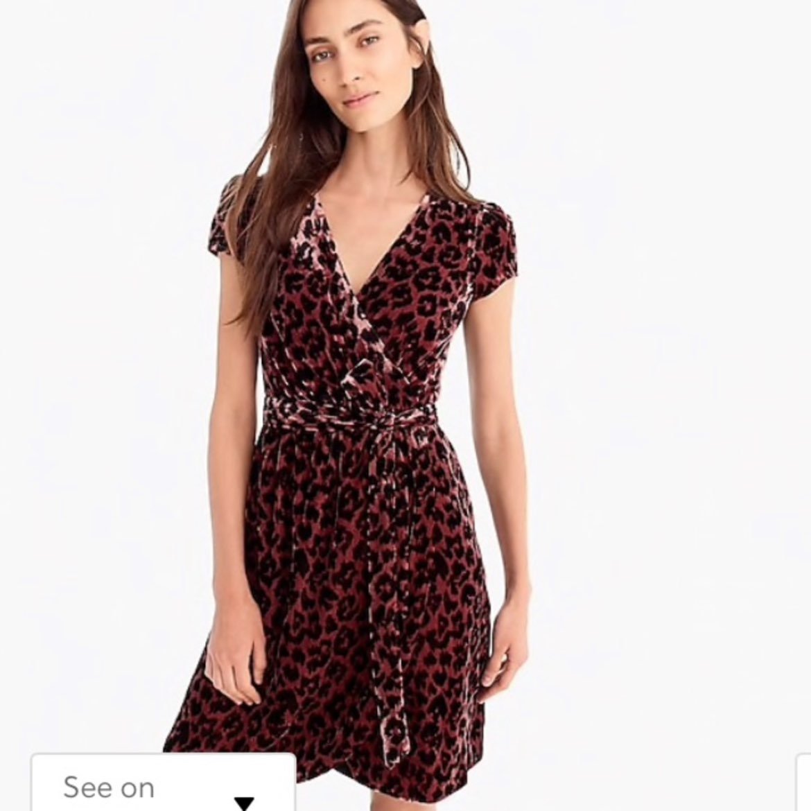 j crew leopard dress