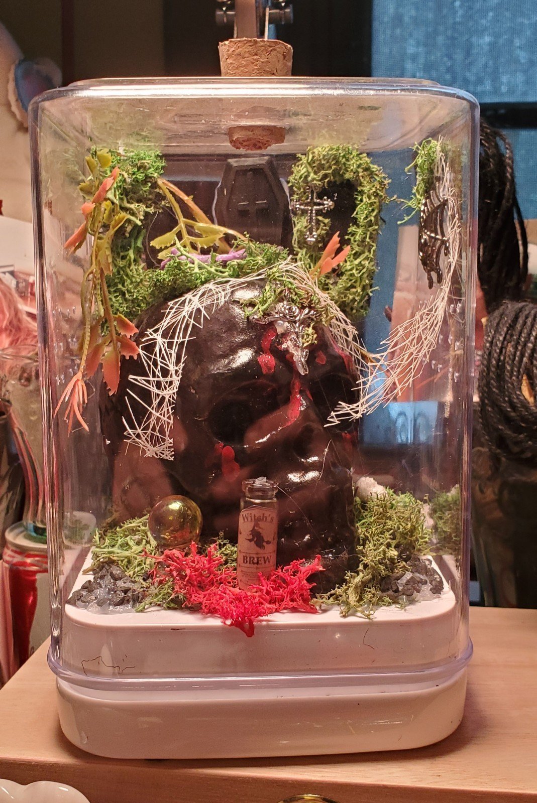Jumping Spider Enclosure or Diaroma Gothic /Wicca/Wiccan.