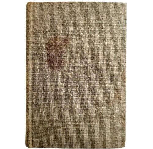 C1880s The Fishhooks Lottie & Jenny Rena Ray Victorian Mini Pocket Book HC E86