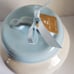 Rae Dunn Cinderella Canister - A Dream is a Wish