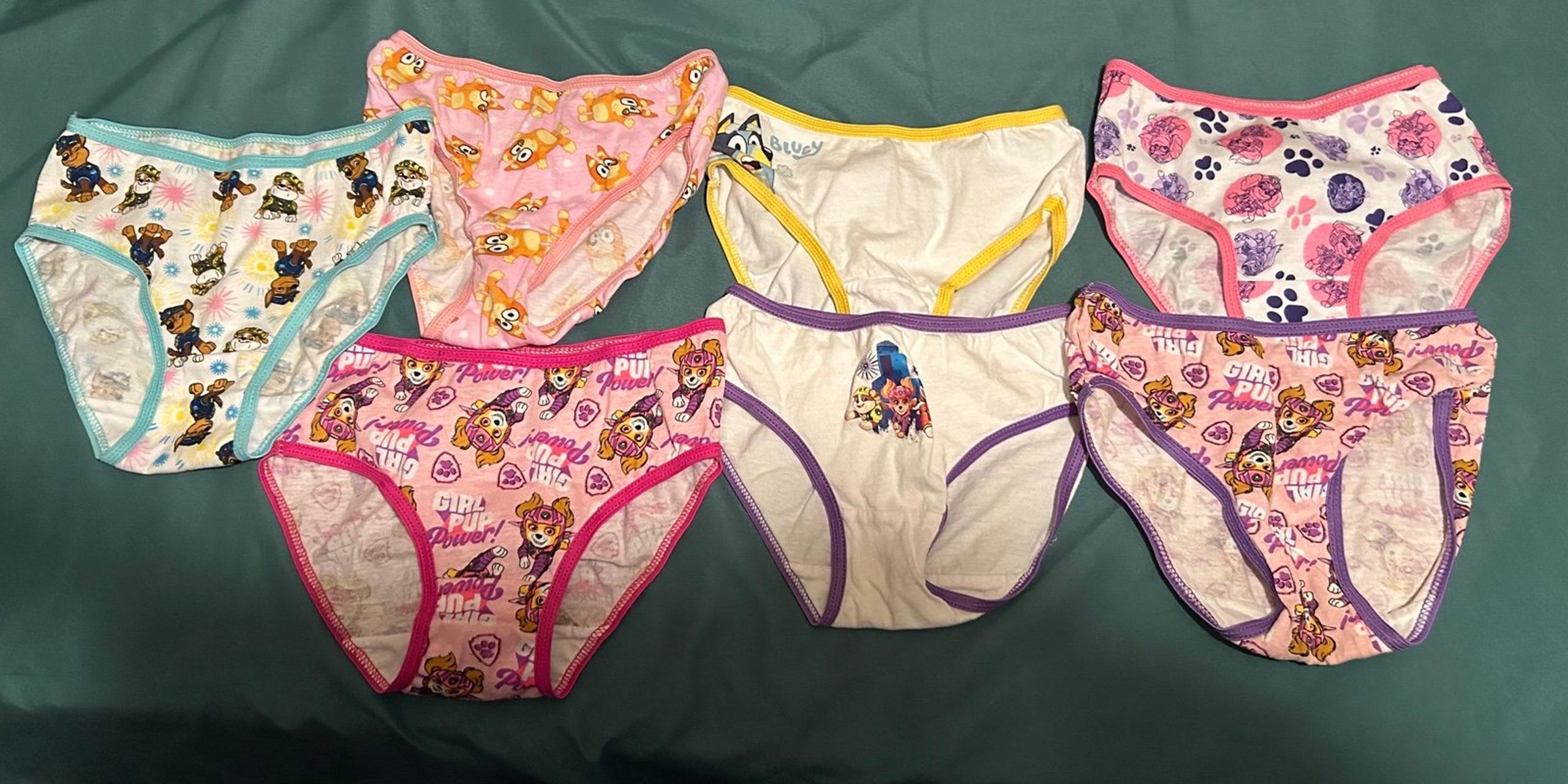 7 Brand new toddler Bluey and Paw Patrol size 4 panties