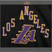 Los Angeles Lakers Pro Standard Black 23/24 City Edition Cropped Hoodie Size 2XL