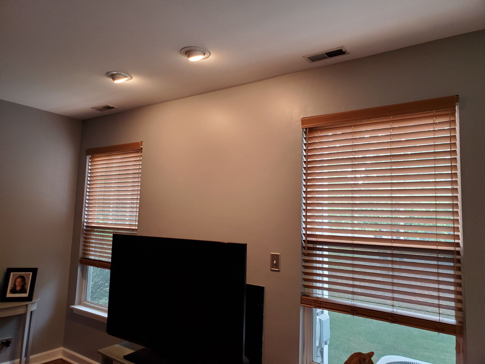 Levolor Blinds