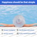 CL200 chlorine feeder for above ground pool and inground pools.