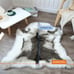1pc, Faux Fur Rug 2.36inch Plush Washable Acrylic Polyester gsd