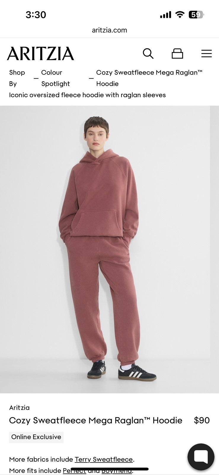 Aritzia Cozy Sweatfleece Mega Raglan Hoodie