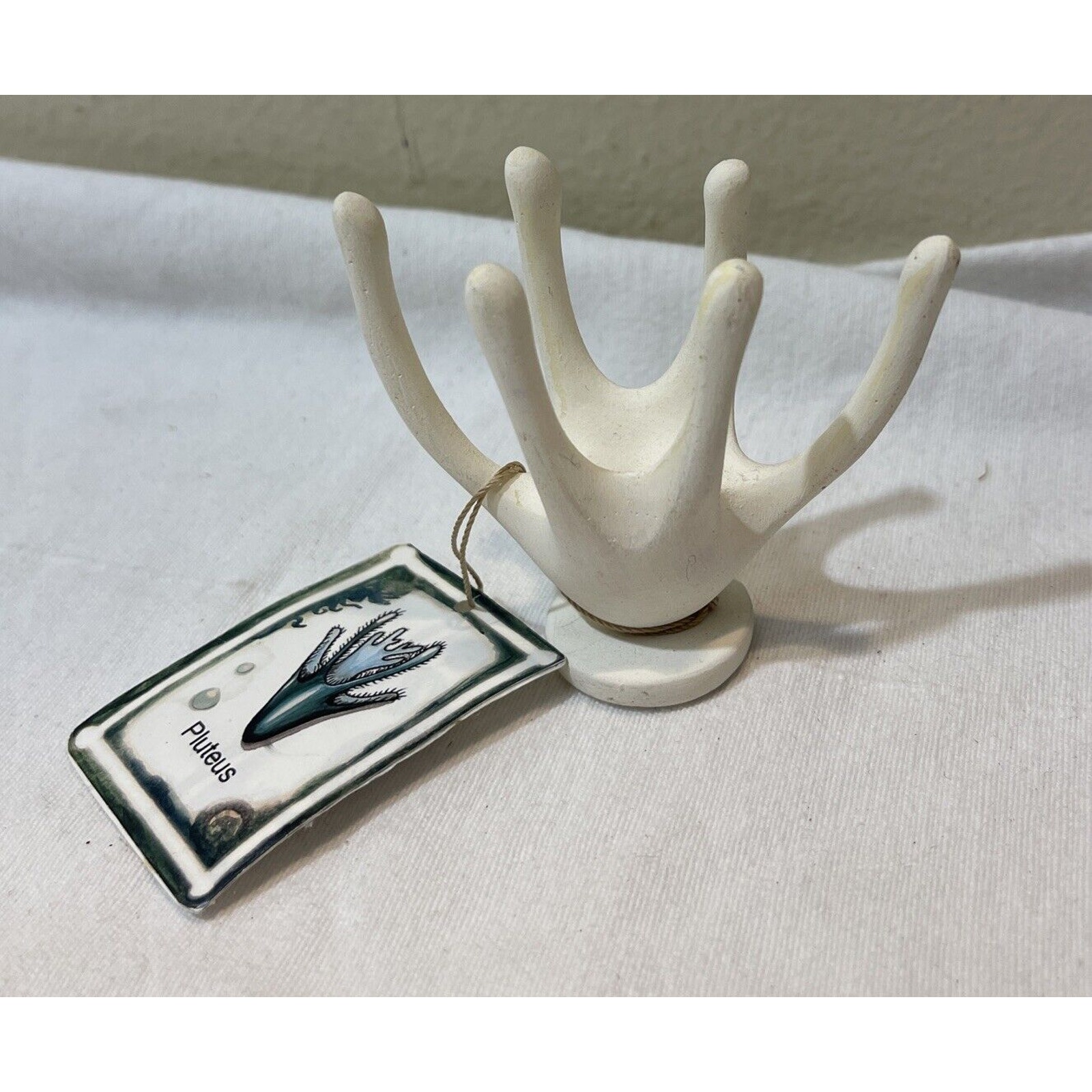 Rebecca Welti Original Sculpture Small Pluteus Sea Life Signed