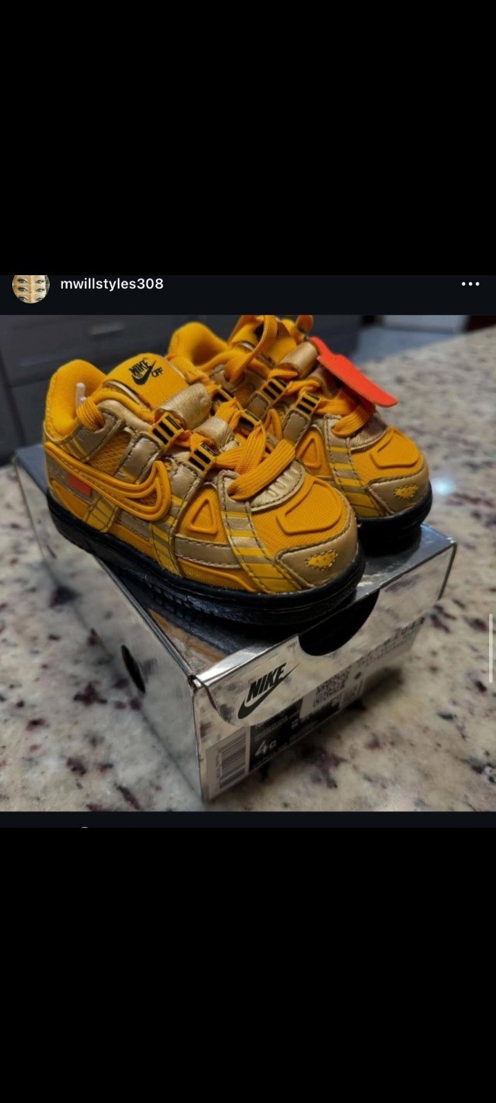 Nike Dunk toddler special edition